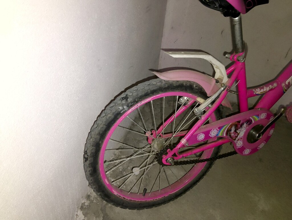 Satılık 20 cant kız çocuk bisikleti - 2