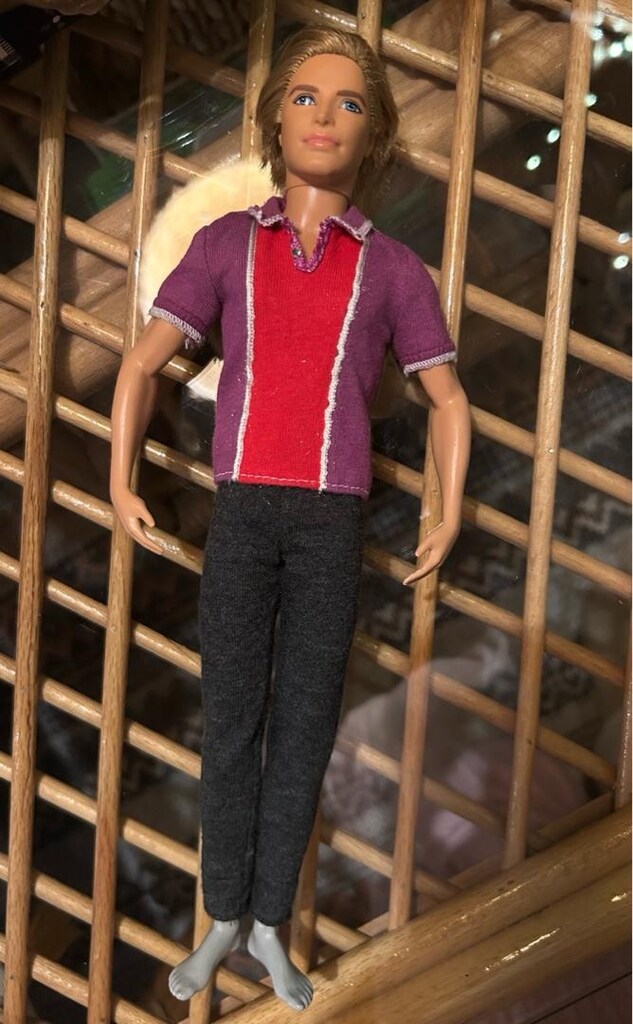 barbie ken bebek - 5