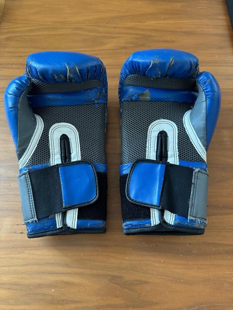 Everlast Boks Eldiveni 16oz - 2