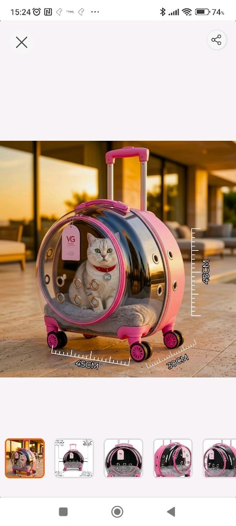kedi taşıma çantası