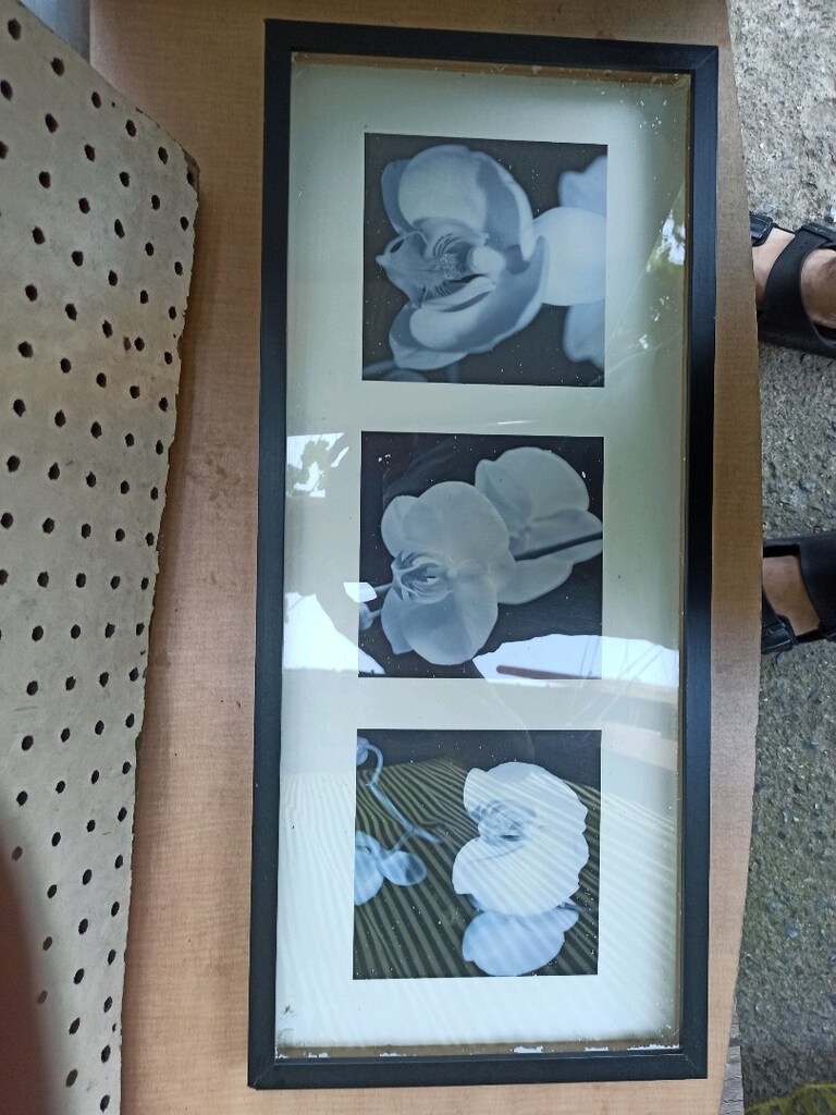 çiçekli duvar resmi - 3