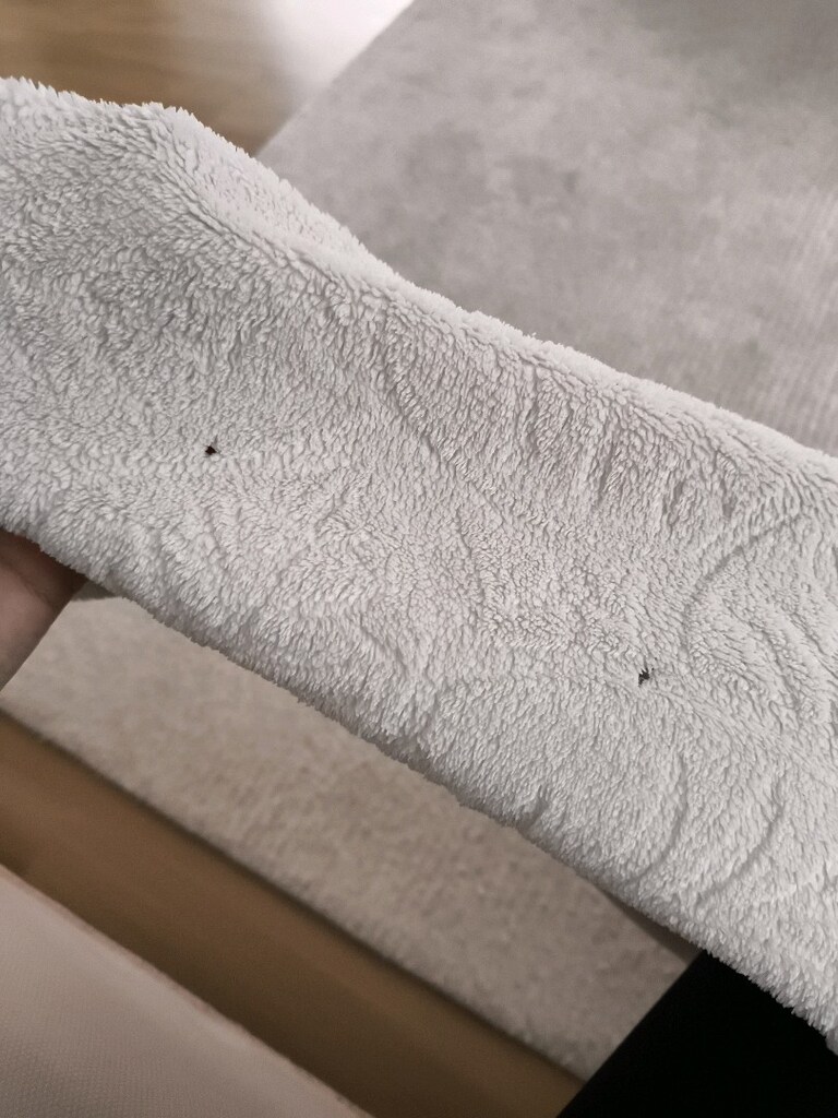 6 metrekare halı örtüsü - 9