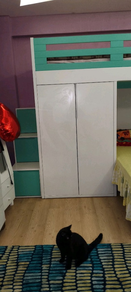 MDF ranza - 2