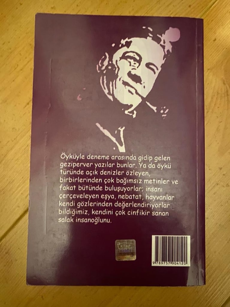 Seçme Sapan Şeyler / Ferhan Şensoy - 2