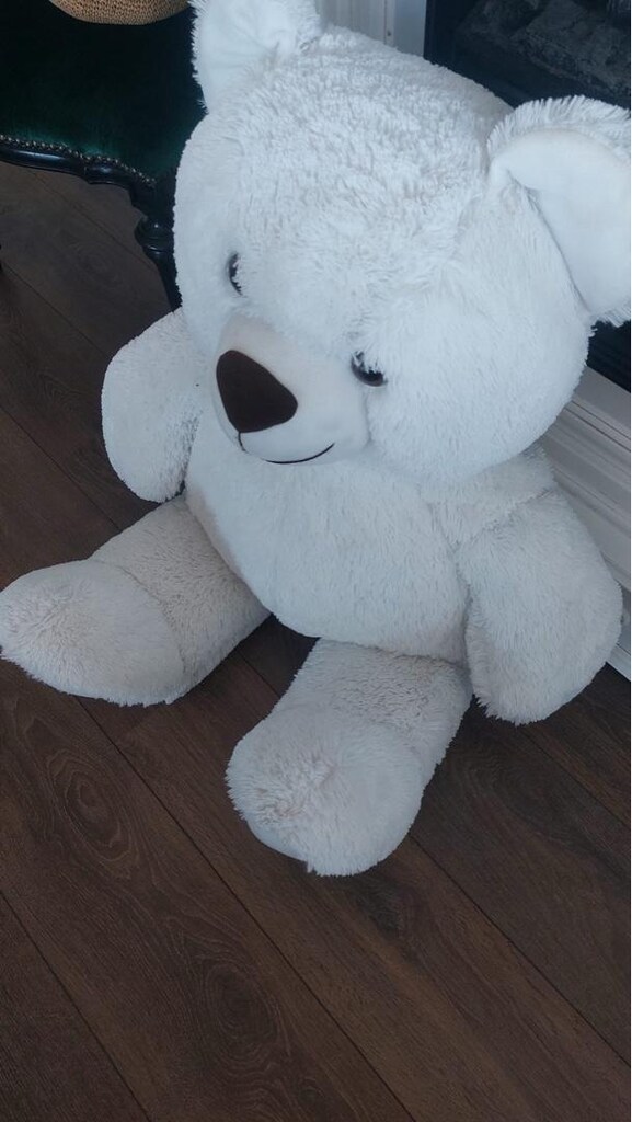 PELUŞ AYI - 2
