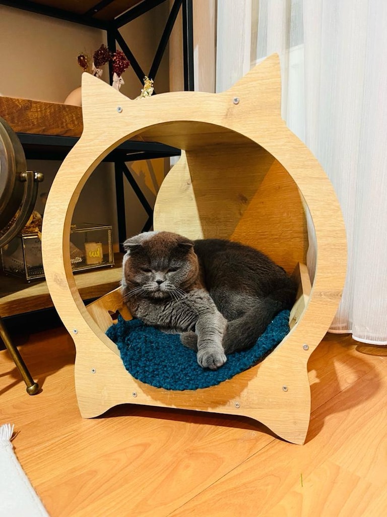 kedi tırmalama tahtası - 13