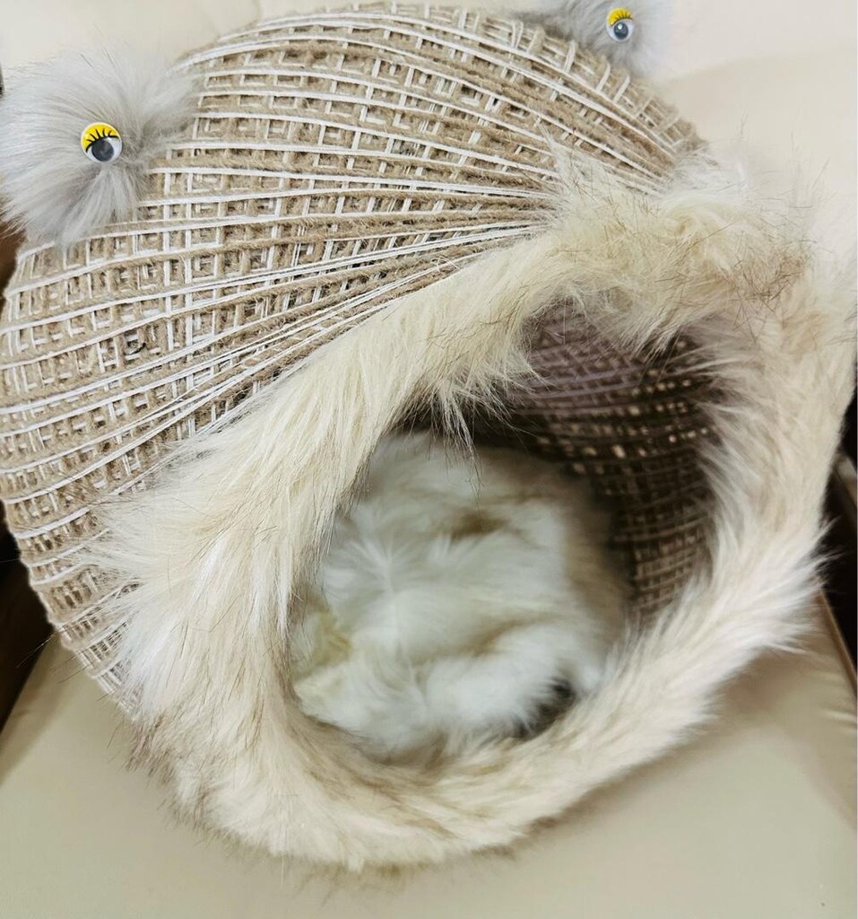 kedi yatagı hasırdan temiz - 2