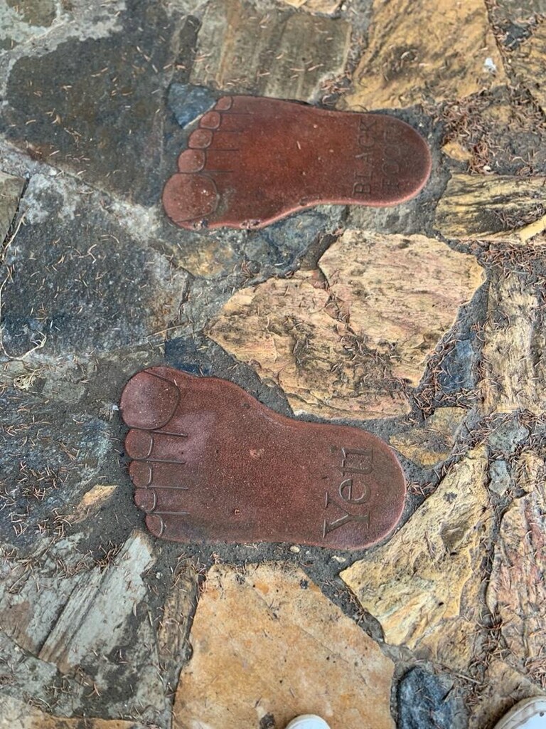 4 Adet bahçe yürüme taşı - 4