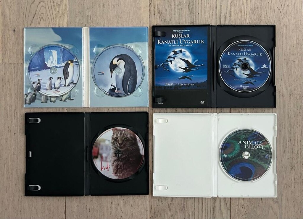 Doğa ve Hayvanlar Temalı 4lü DVD Seti - 4