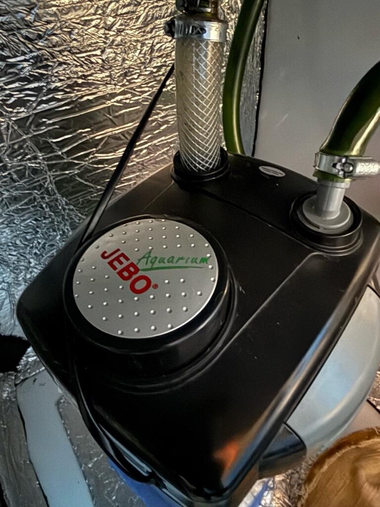 250 litre Akvaryum ve Dış Filtre - 3