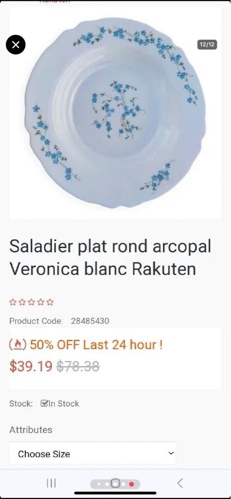 Antika Fransız Arcopal Veronica Opalin Büyük Servis Kasesi - SIFIR - 11
