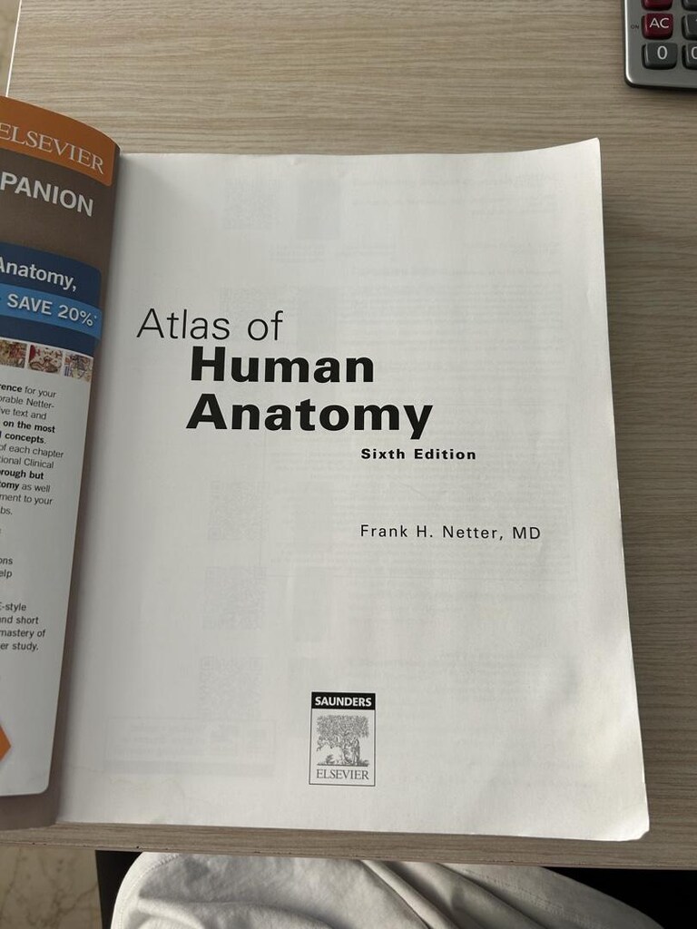 ANATOMY - 2