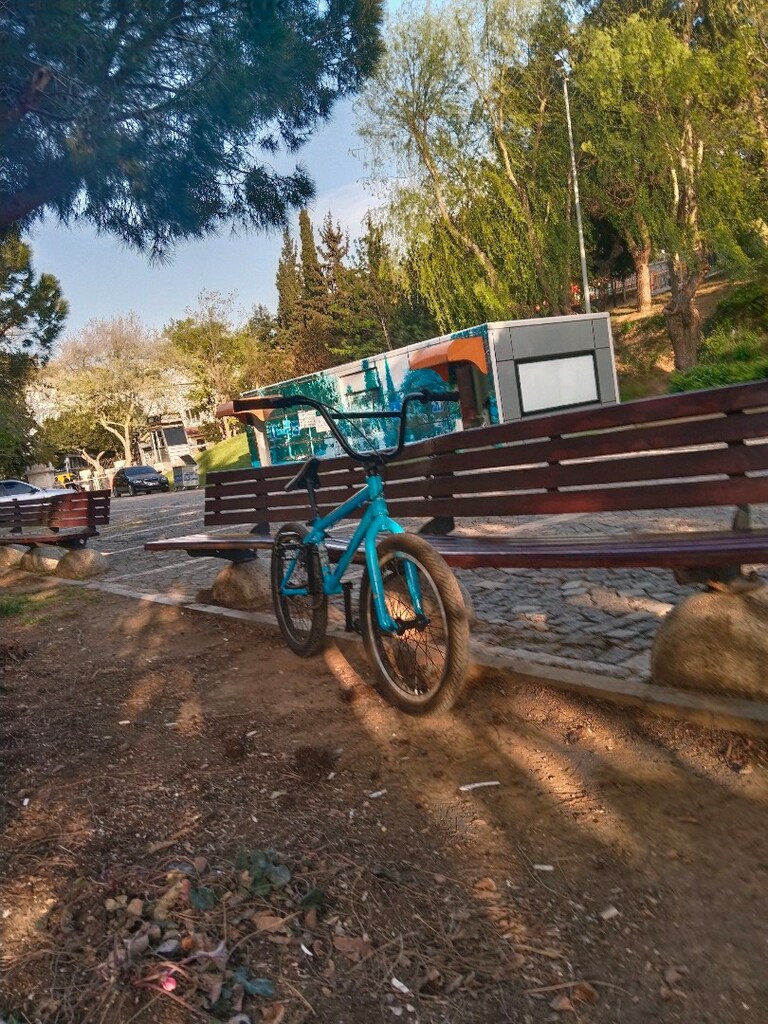 BMX BİSİKLET ZOİD - 3