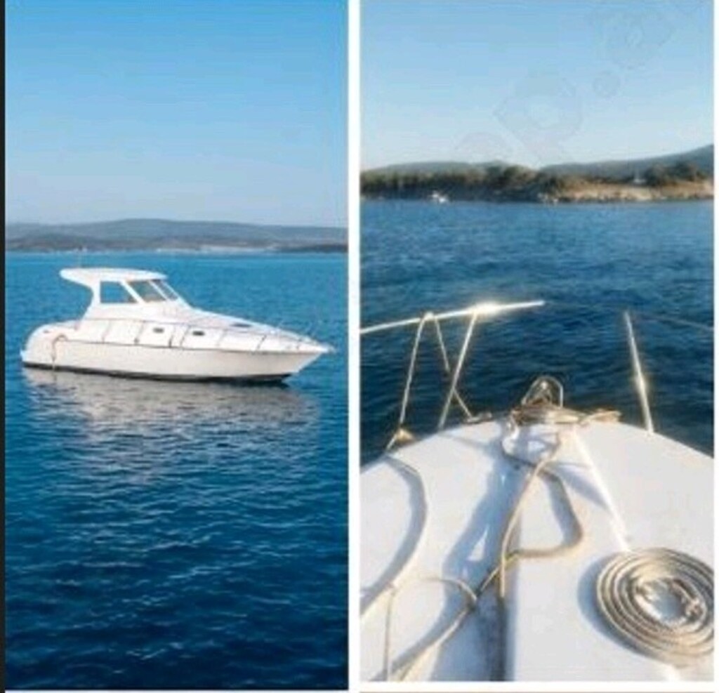 Sahibinden Temiz Bakımlı Özel Motor Yat - 2
