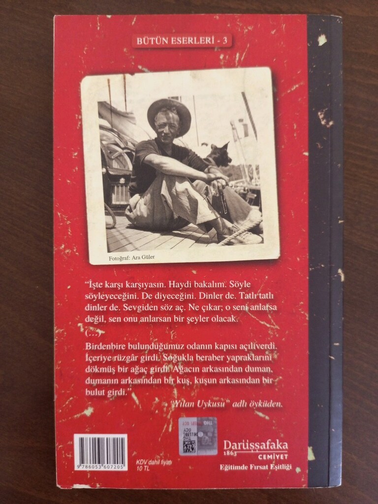 Sait Faik Abasıyanık - Alemdağ'da Var Bir Yılan - 2