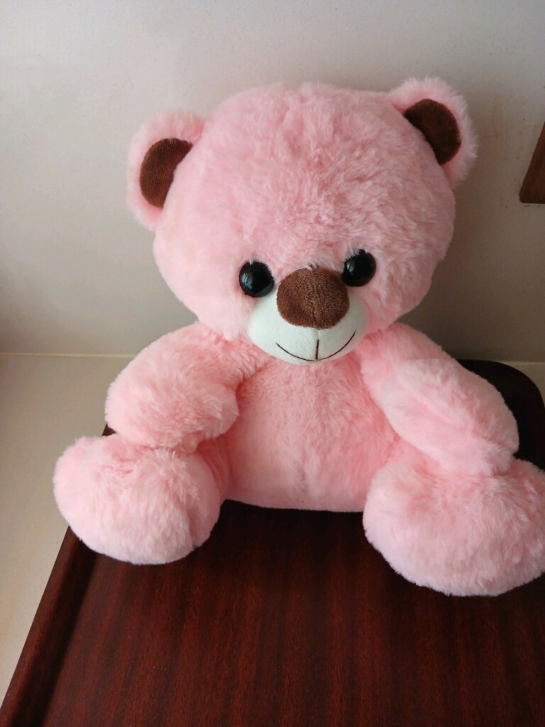 Oyuncak Peluş Ayı - 3