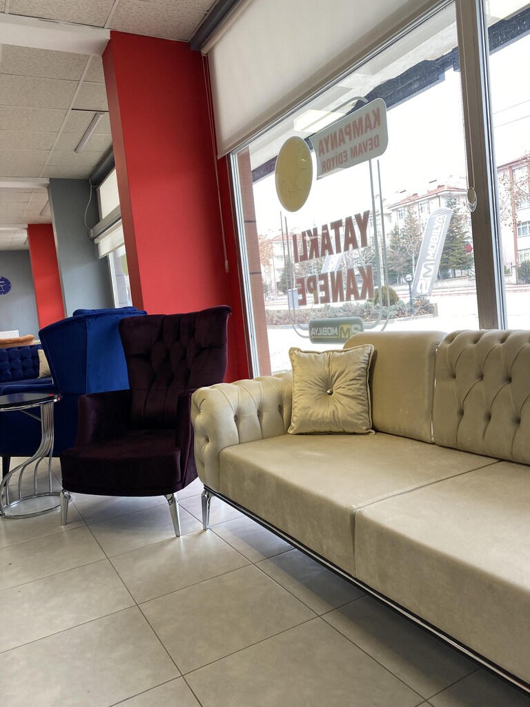 Premium Salon Koltuk Takımı oturma grubu - 5