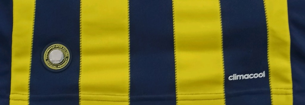 2016-2017 Sezonu Robin Van Persie Orijinal Fenerbahçe Çubuklu Forma - 5