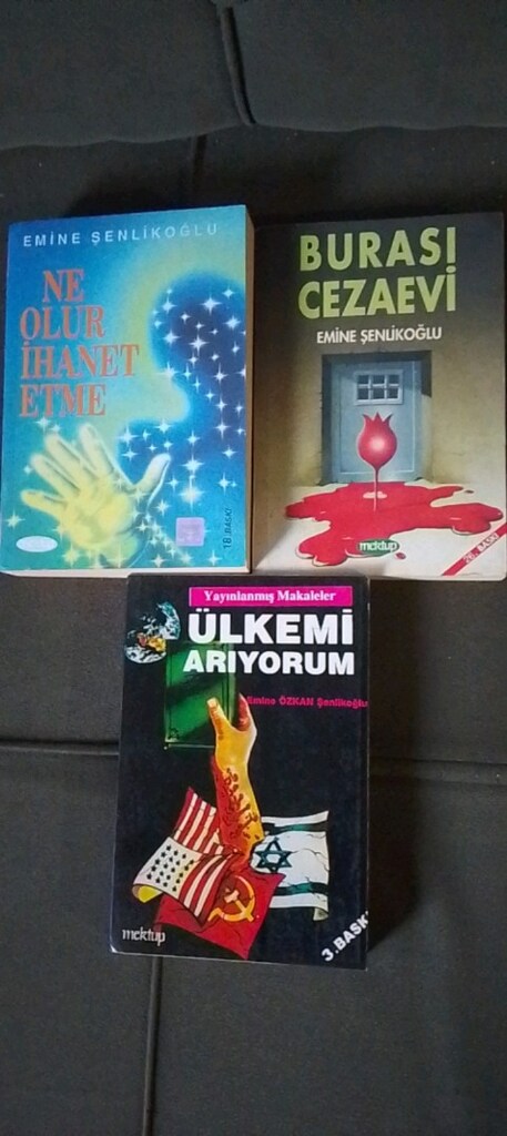 EMİNE ŞENLİKOĞLU KİTAPLARI - 11