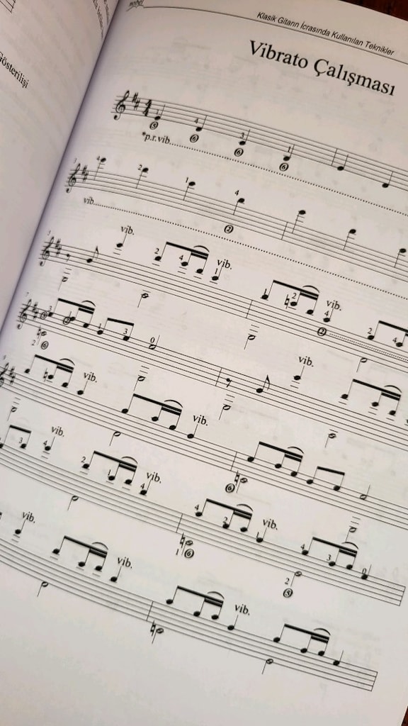 Gitar Kitapları ve Müzik Teorisi Kitabı - 8