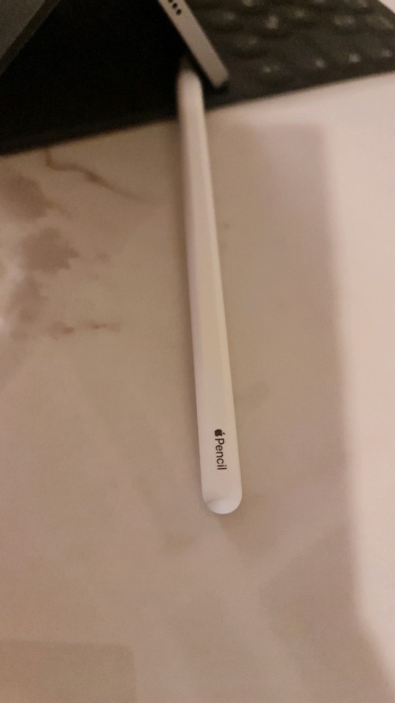 Ipad Pro 12,9 inç 6.Nesil - 10