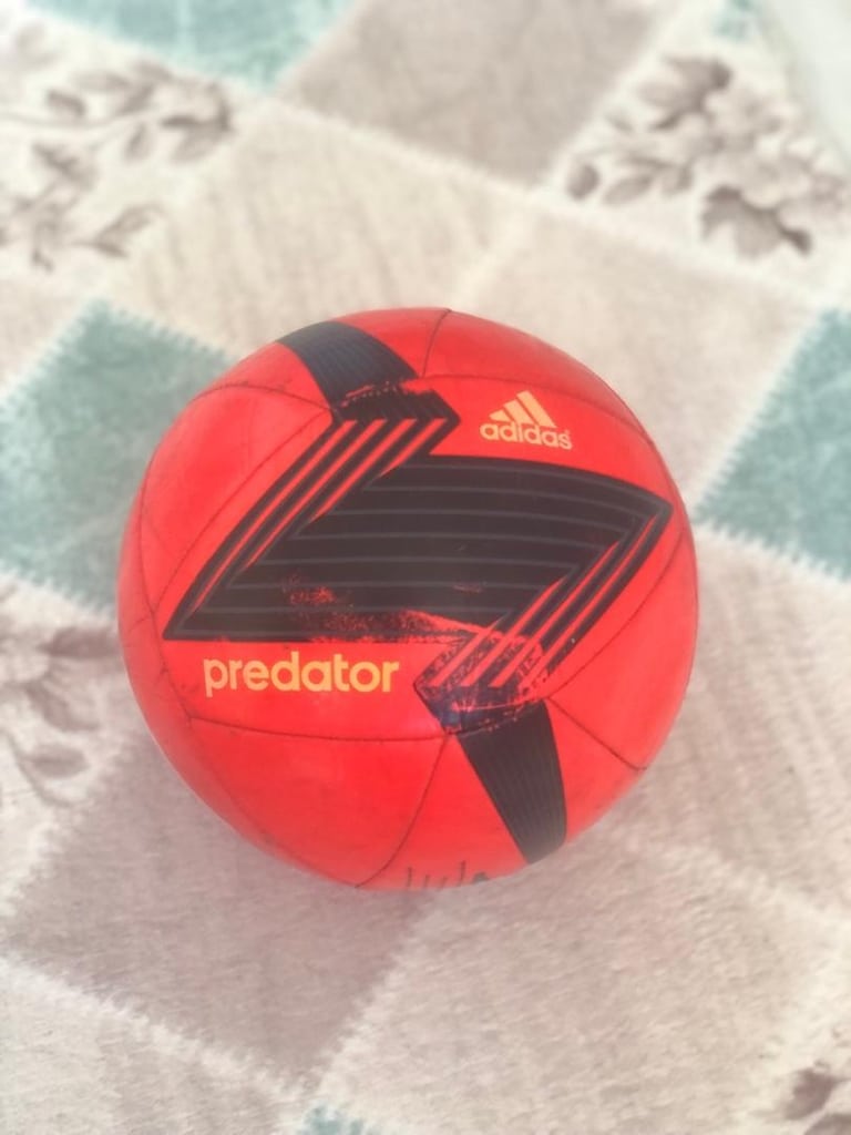 adidas predator glider - 2