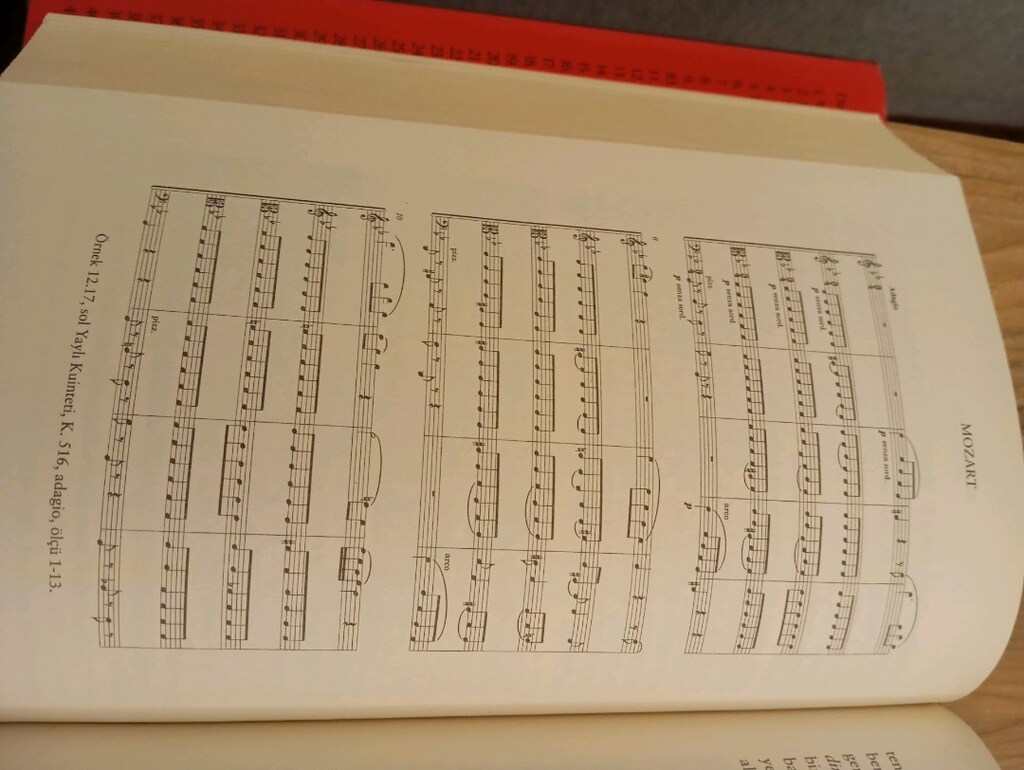 Mozart Ciltli Şömizli 748 sayfa - 7