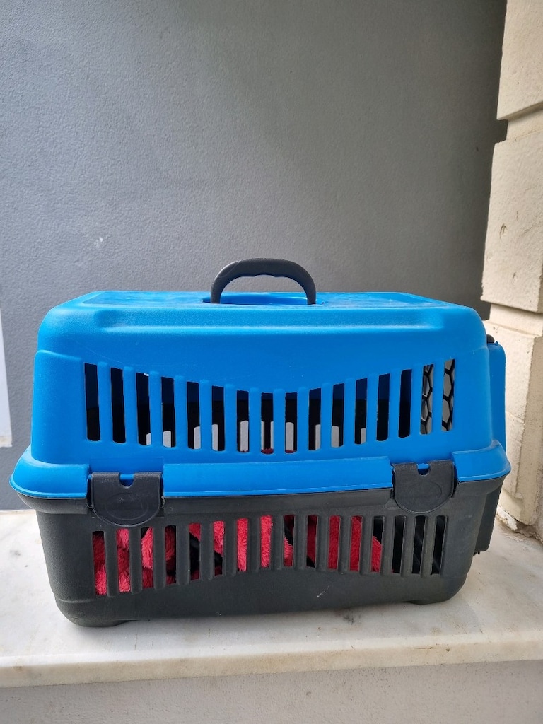 Kedi taşıma çantası - 2
