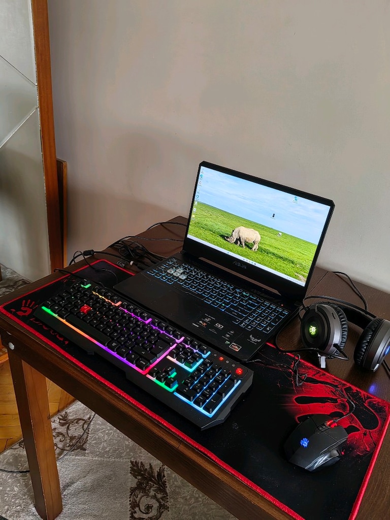 ASUS TUF Gaming - Ryzen 7 3750H / GTX 1650 4GB / 12 GB RAM / 256 GB SS - 2