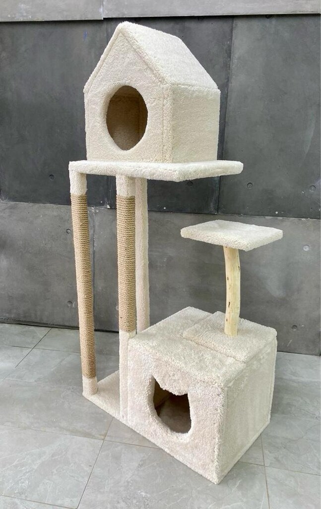 kedi evi - 2