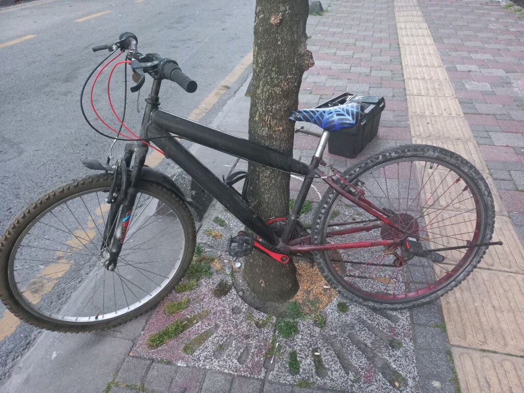 26 cant bisiklet - 3