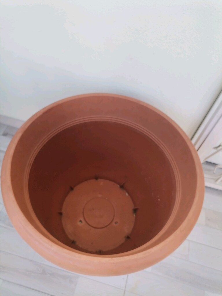 Büyük boy plastik saksı - 2