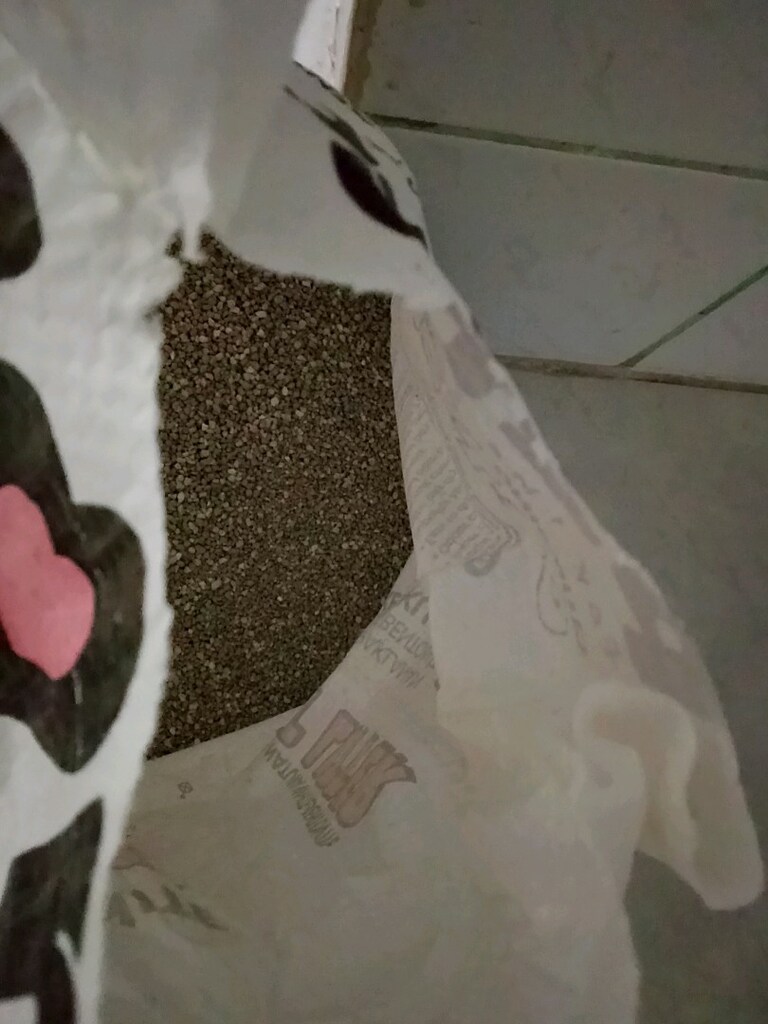 kedi kumu 10 lt - 3