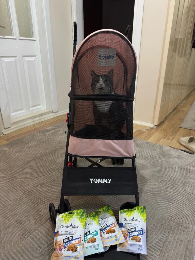 TOMMY KEDİ KÖPEK ARABASI - 6