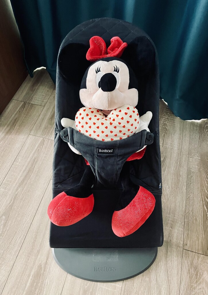 Baby bjorn ana kucağı - 2
