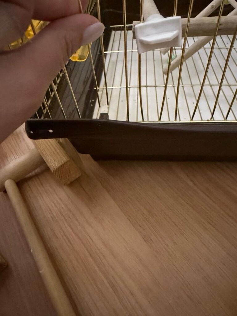Pirinç Kuş Kafesi,Oyun Parkı,Taşıma Çantası,Oyuncakları ve Malzemeleri - 4