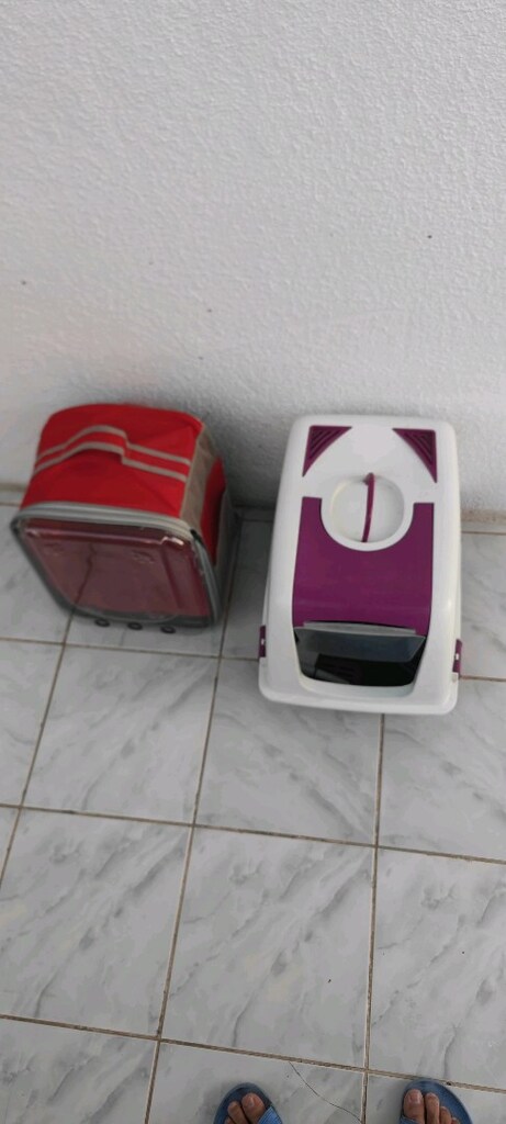 kedi bakımı - 6
