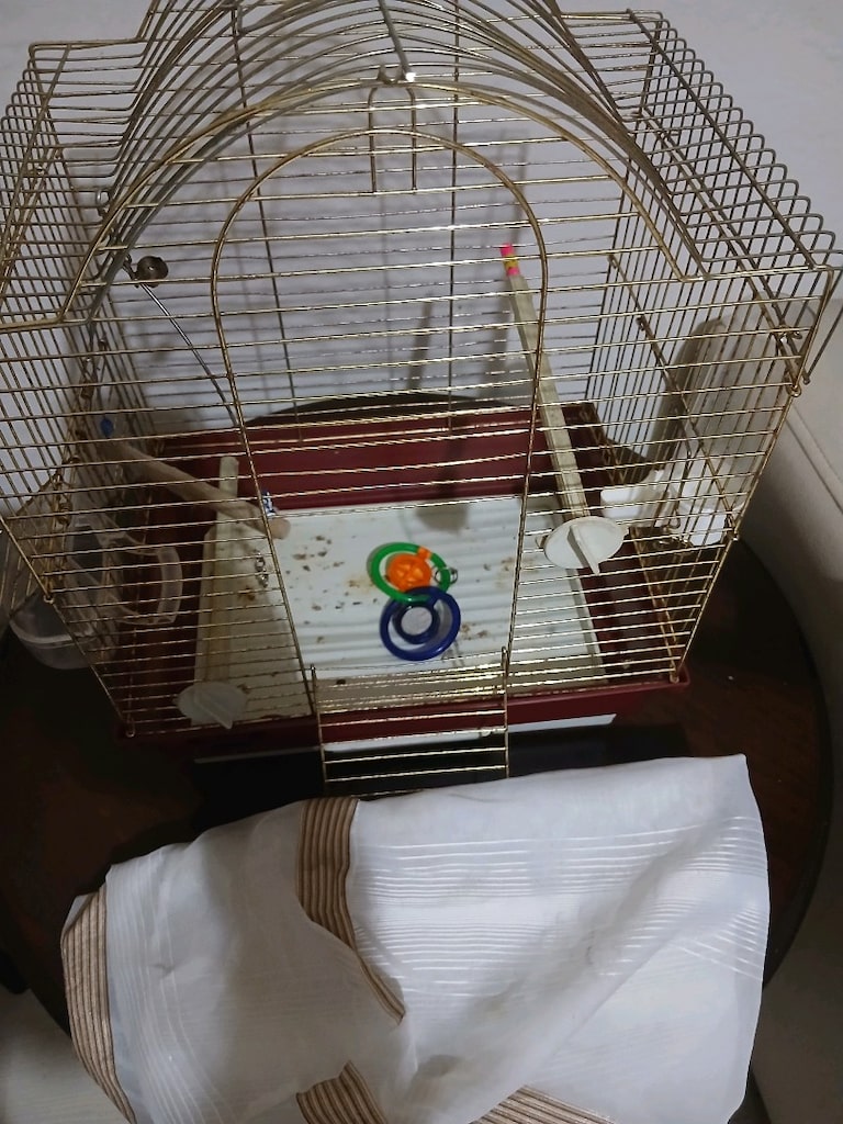 kuş kafesi - 7