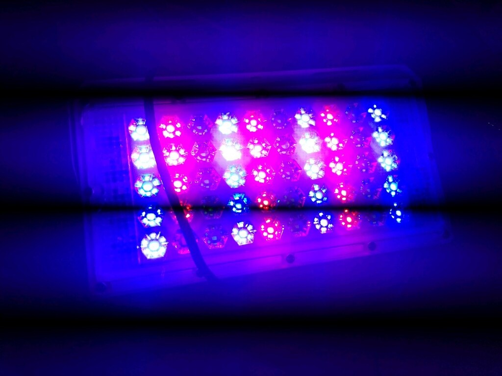 led projektör - 4