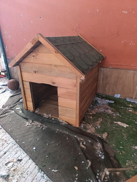 köpek kulübesi