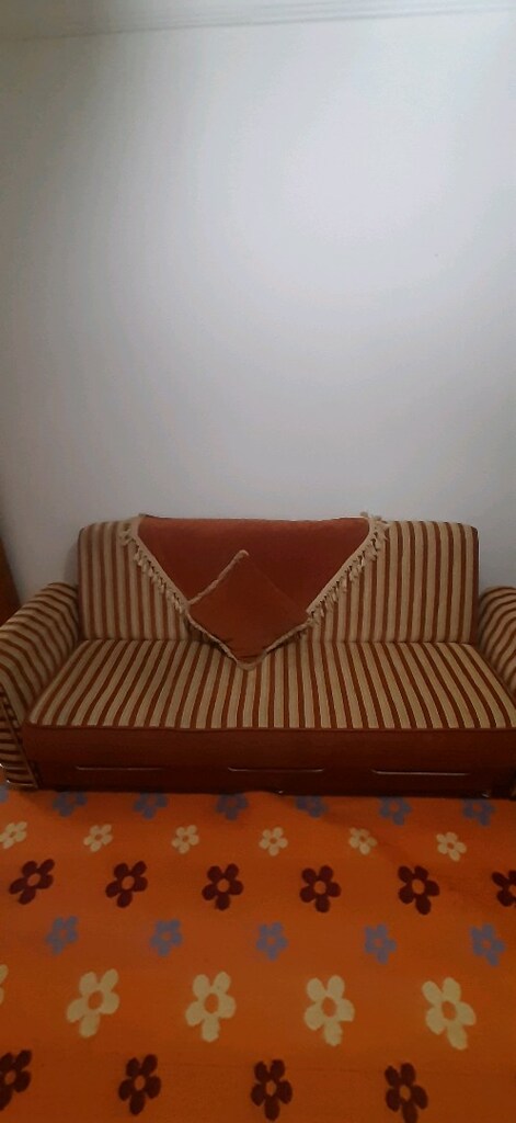 2 kanepe halı dahil FIRSAT!!!!!!!!!!!!! - 3