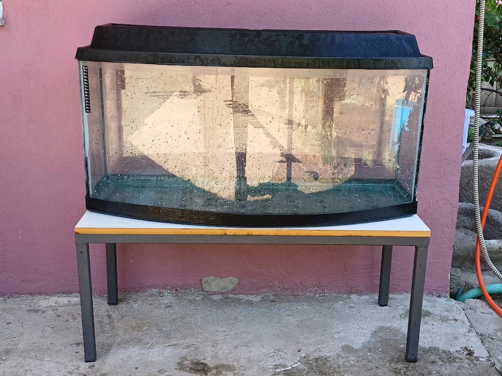 akvaryum