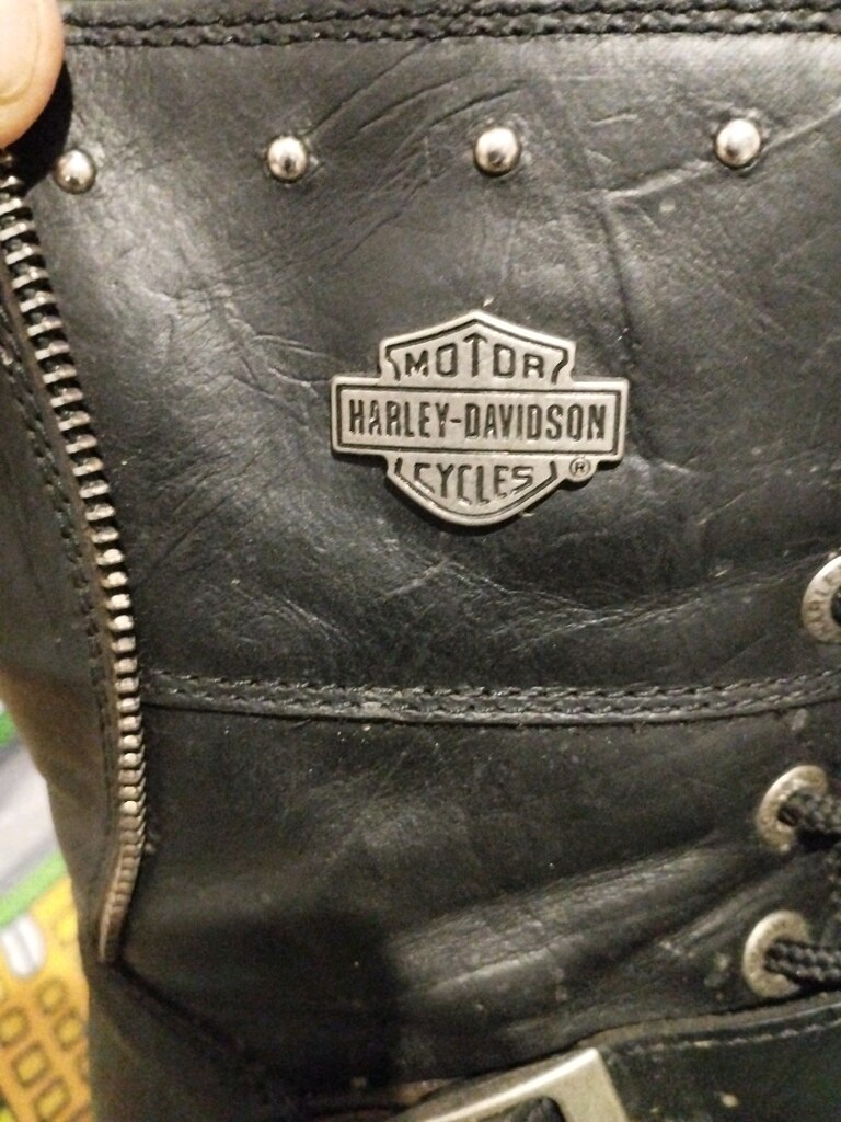 Harley devilson bot - 6