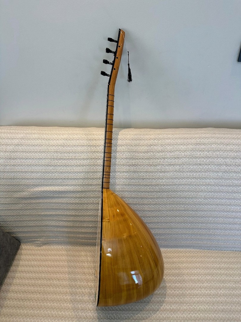 pırefesiyonel saz dır - 2
