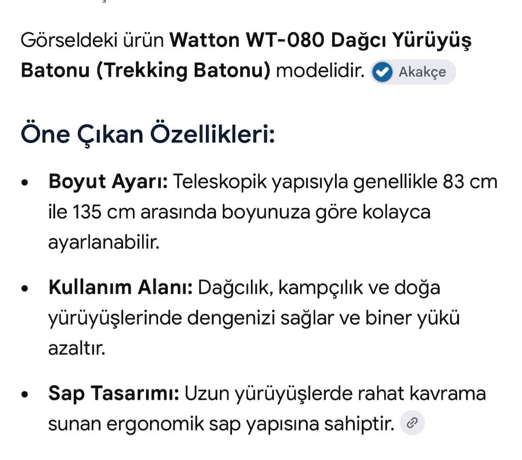 trkking yürüyüş baton baston - 3