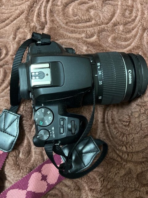 canon eos 250 d