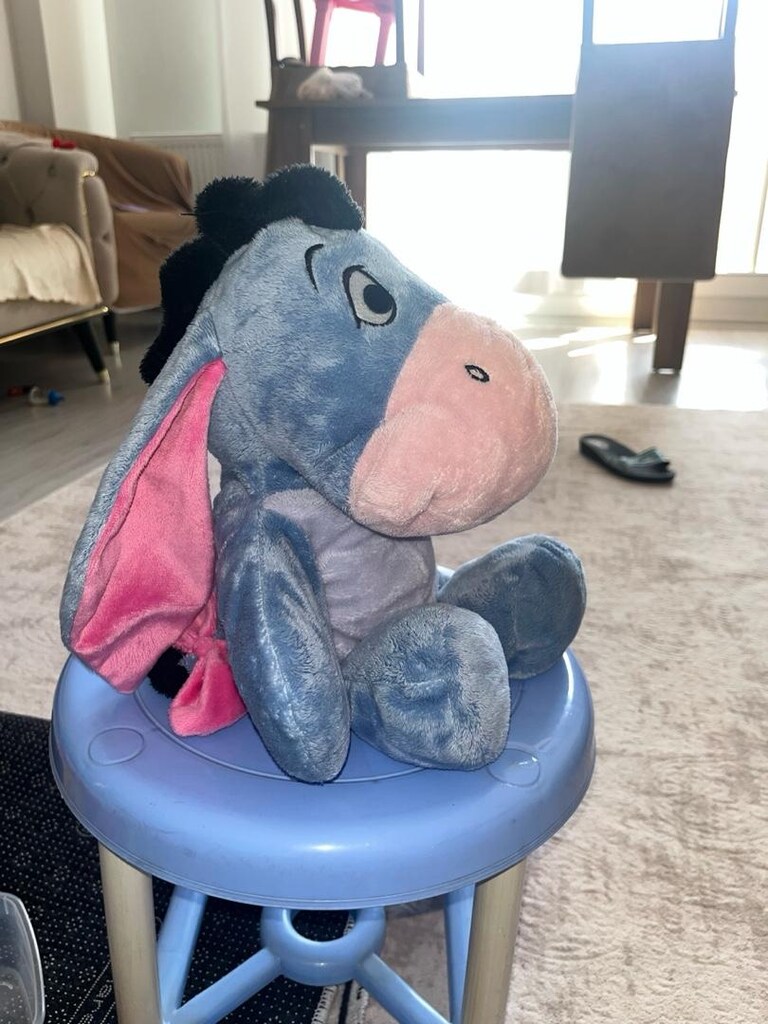 Winnie The Pooh Eeyore Peluş Oyuncak - 11