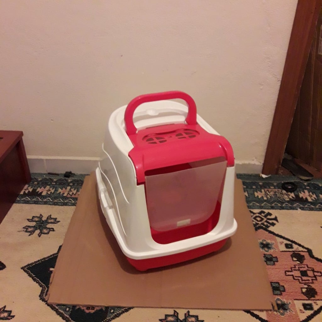 kedi evi ve taşıma çantası - 2