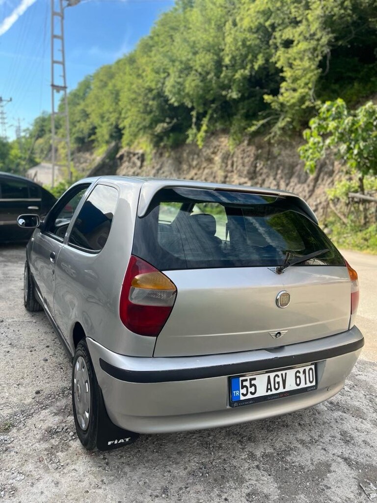palio van - 4