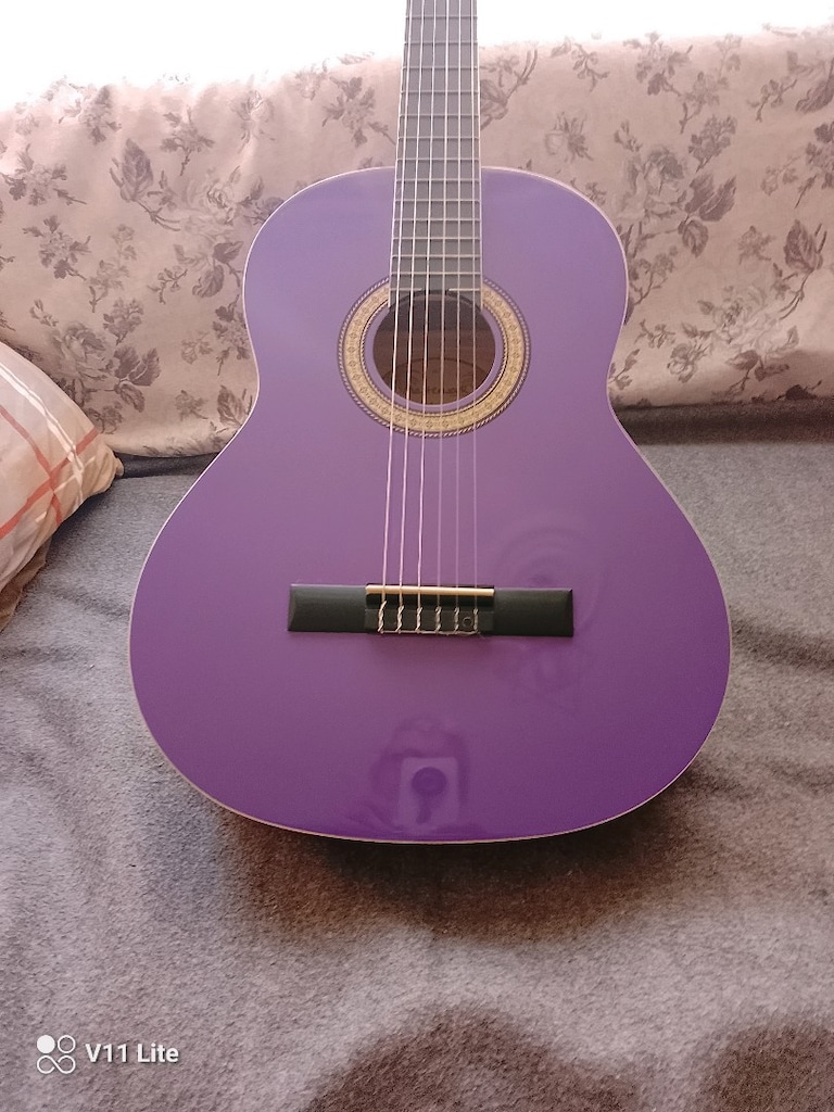 Masterwork gitar - 6